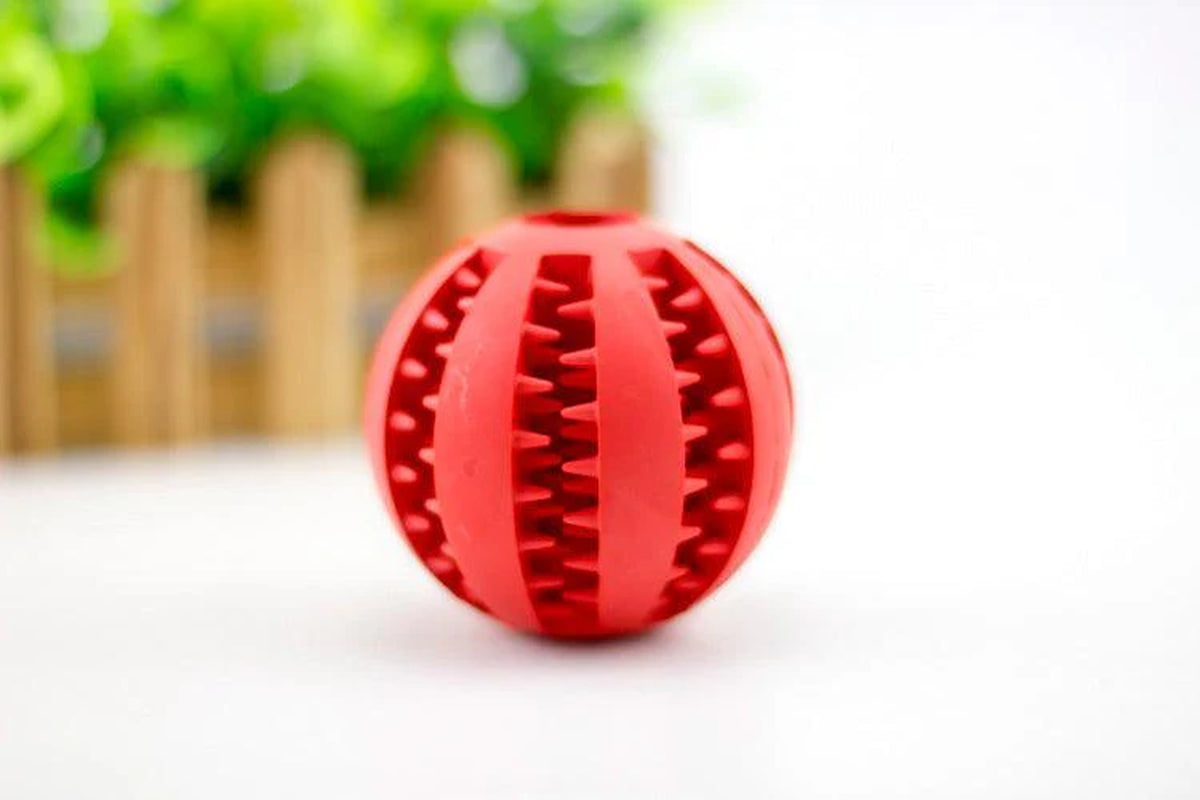 Minty Munch-N-Play Rubber Feeding Ball